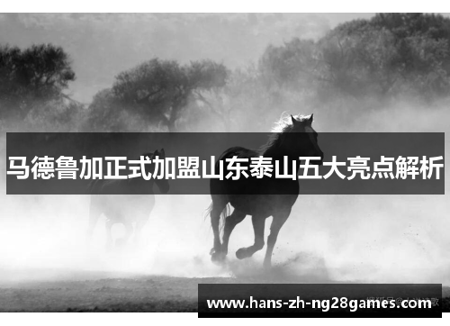 马德鲁加正式加盟山东泰山五大亮点解析